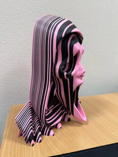 https://makerworld.bblmw.com/makerworld/comment/20260317/3391059963/720d6254d771c331.jpg