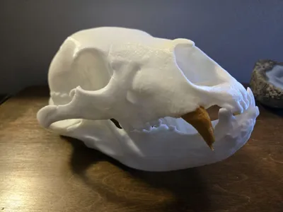 https://makerworld.bblmw.com/makerworld/comment/20260317/3489571770/2a9e65dceed8aaa3.jpg