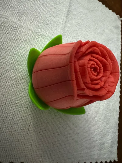 https://makerworld.bblmw.com/makerworld/comment/20260317/3567796414/748c27d869f663fa.jpg