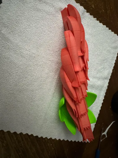 https://makerworld.bblmw.com/makerworld/comment/20260317/3567796414/e7ef2deca4c1b2f0.jpg
