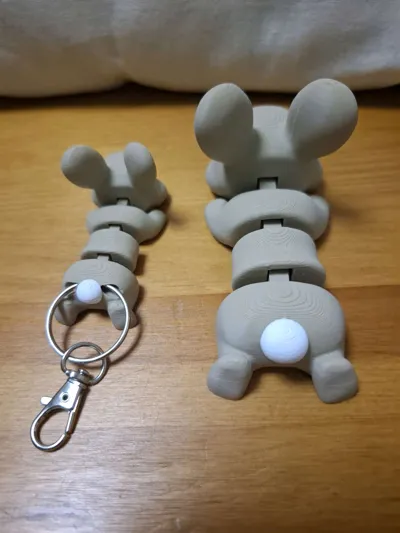https://makerworld.bblmw.com/makerworld/comment/20260317/3570970201/18c4b5783beb235c.jpg