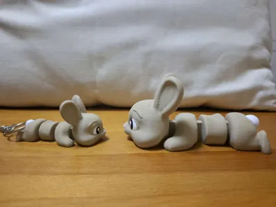 https://makerworld.bblmw.com/makerworld/comment/20260317/3570970201/41f819d8aefa3ebd.jpg