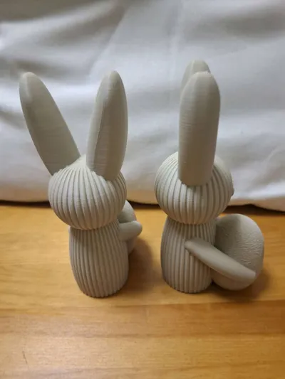 https://makerworld.bblmw.com/makerworld/comment/20260317/3570970201/4d74fd9db261049d.jpg