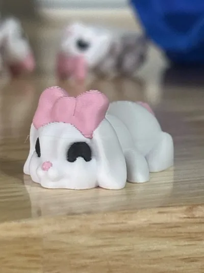 https://makerworld.bblmw.com/makerworld/comment/20260317/434514865/6b966da2a4bc12ed.jpg