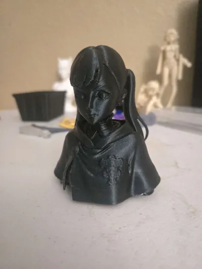 https://makerworld.bblmw.com/makerworld/comment/20260317/523104540/e52ead220907f61d.jpg