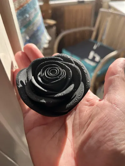 https://makerworld.bblmw.com/makerworld/comment/20260317/827108844/ed11cade75ebd663.jpg