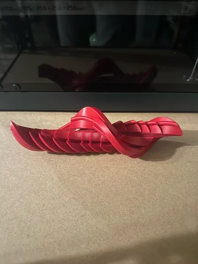 https://makerworld.bblmw.com/makerworld/comment/20260317/994658501/433a4b9274fd83f2.jpg