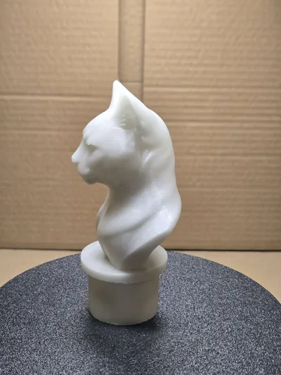 https://makerworld.bblmw.com/makerworld/comment/20260317/999156645/8794c342486a7c33.jpg