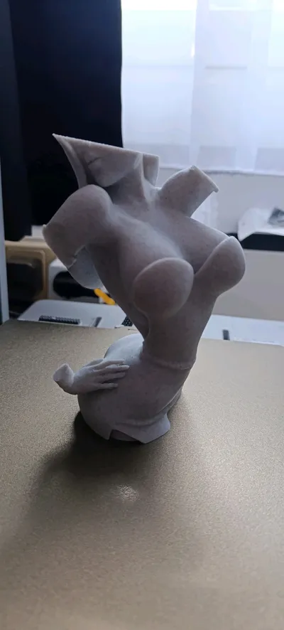 https://makerworld.bblmw.com/makerworld/comment/20260318/1311946688/44d4417c21fcd15f.jpg