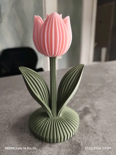 https://makerworld.bblmw.com/makerworld/comment/20260318/2069434675/e5a7103b963b1327.jpg
