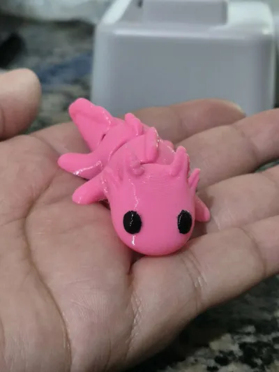https://makerworld.bblmw.com/makerworld/comment/20260318/2103756240/a02569e7f2e5782f.jpg