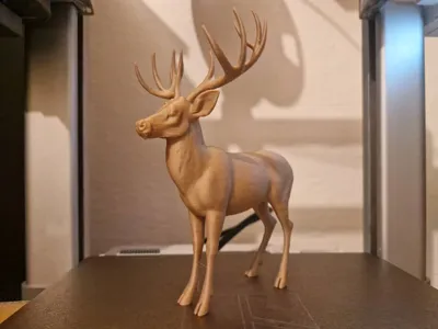 https://makerworld.bblmw.com/makerworld/comment/20260318/2112645006/0430d1a7140427bb.jpg