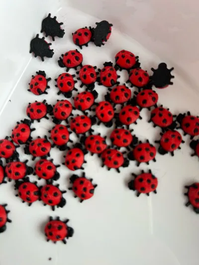 https://makerworld.bblmw.com/makerworld/comment/20260318/2158622750/e30f31117df44701.jpg