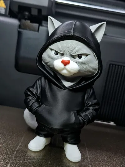 https://makerworld.bblmw.com/makerworld/comment/20260318/230310894/829df35fffaea9f8.jpg