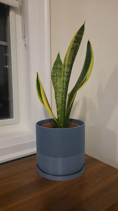 https://makerworld.bblmw.com/makerworld/comment/20260318/230726083/826dc618b9bd6dba.jpeg