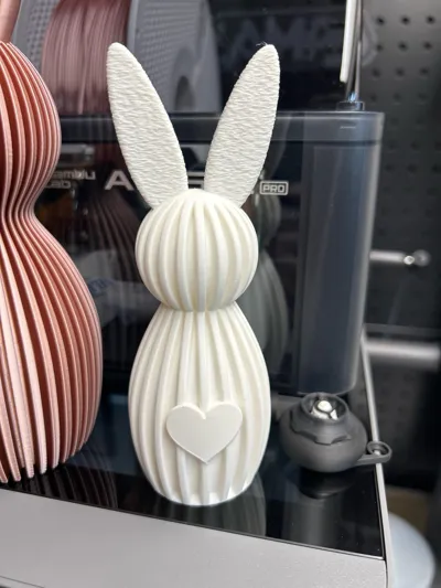 https://makerworld.bblmw.com/makerworld/comment/20260318/232660551/7ddf53af090ad575.jpg