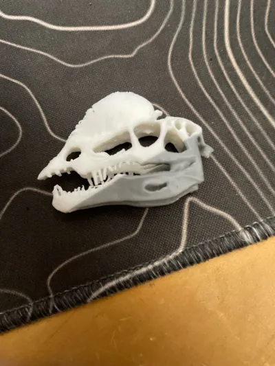 https://makerworld.bblmw.com/makerworld/comment/20260318/2492863424/43729c3ac5eebd61.jpg