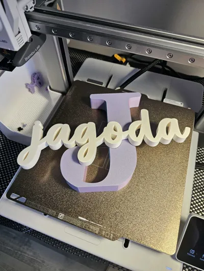 https://makerworld.bblmw.com/makerworld/comment/20260318/2550276181/a2a2c0e935cea6b2.jpg