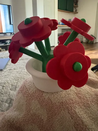 https://makerworld.bblmw.com/makerworld/comment/20260318/2672379987/1aba748fe0962dc7.jpg