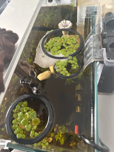 https://makerworld.bblmw.com/makerworld/comment/20260318/3171616764/4065c18d77e8e402.jpg