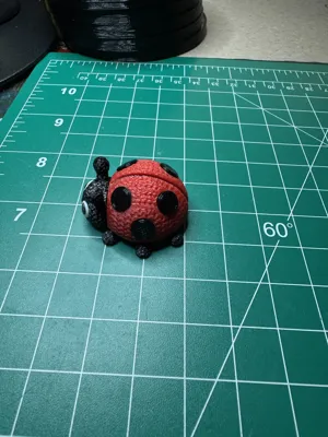 https://makerworld.bblmw.com/makerworld/comment/20260318/3212162149/753b209792a6b734.jpeg