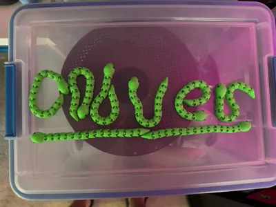 https://makerworld.bblmw.com/makerworld/comment/20260318/3423723084/de91d735777f36bb.jpg
