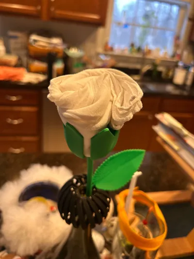https://makerworld.bblmw.com/makerworld/comment/20260318/4254688807/e51431eed36a0c88.jpg