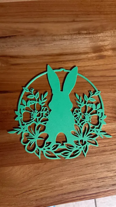 https://makerworld.bblmw.com/makerworld/comment/20260318/510387660/c14beeca4fd228b6.jpg