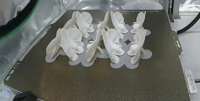 https://makerworld.bblmw.com/makerworld/comment/20260318/577687550/e2712ccb496f657d.jpg