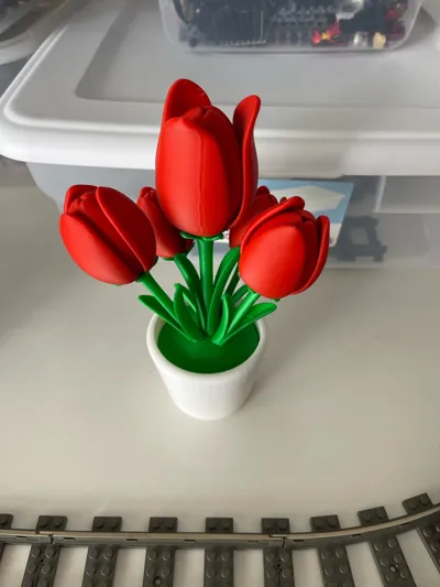 https://makerworld.bblmw.com/makerworld/comment/20260318/580275095/ddbf6c5a6b50204b.jpg