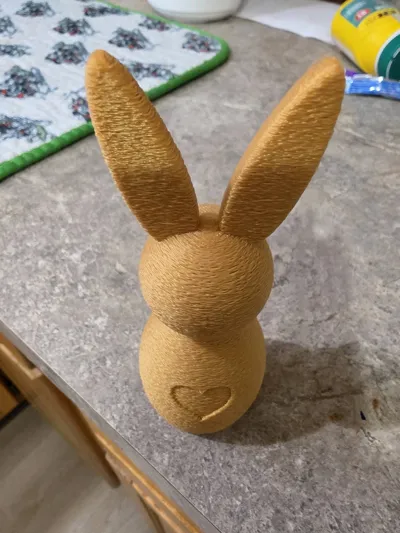 https://makerworld.bblmw.com/makerworld/comment/20260318/640733883/4e74f60dfb545279.jpg