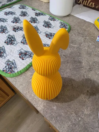 https://makerworld.bblmw.com/makerworld/comment/20260318/640733883/ad8cbb3bdf8c5c2a.jpg
