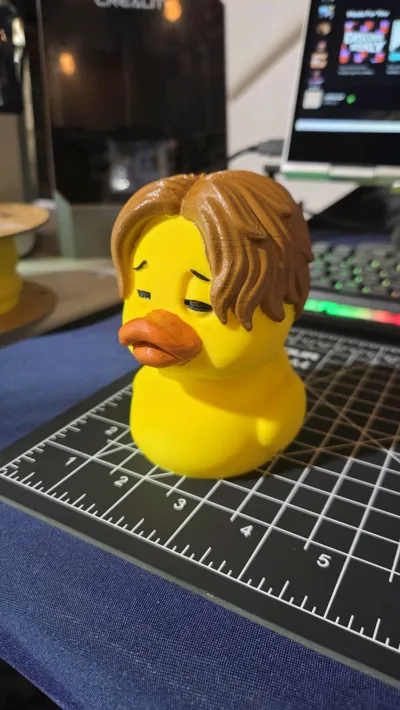 https://makerworld.bblmw.com/makerworld/comment/20260318/78173166/fb81c98265b43b24.jpg