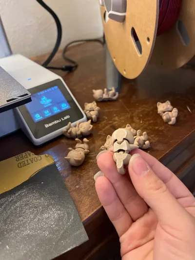 https://makerworld.bblmw.com/makerworld/comment/20260318/868273612/a606e711b782327e.jpg