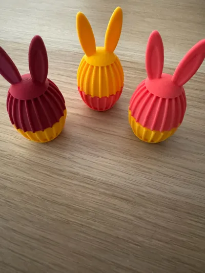 https://makerworld.bblmw.com/makerworld/comment/20260319/1062982996/f6c5cd4bfa0c668e.jpg