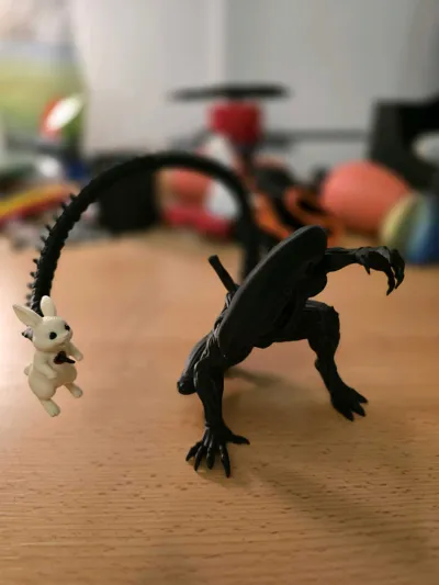 https://makerworld.bblmw.com/makerworld/comment/20260319/12283057/149f284a165dae9a.jpg