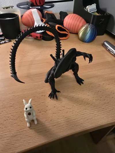 https://makerworld.bblmw.com/makerworld/comment/20260319/12283057/8e86aeda4c2bf2fb.jpg