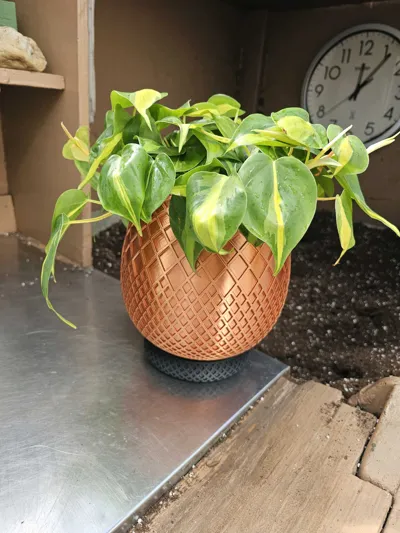 https://makerworld.bblmw.com/makerworld/comment/20260319/1286245988/e300ae320a9ca0ef.jpg