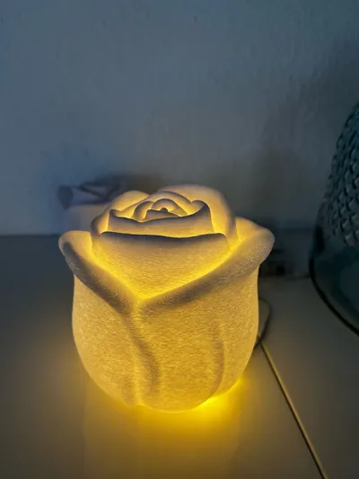 https://makerworld.bblmw.com/makerworld/comment/20260319/140548958/4de127441c1621f6.jpg