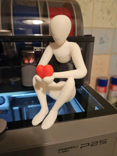 https://makerworld.bblmw.com/makerworld/comment/20260319/152368455/b50ffef3addb5c13.jpg