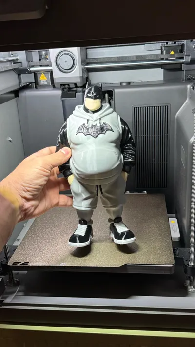 https://makerworld.bblmw.com/makerworld/comment/20260319/1580261408/43cc178a496fa2f3.jpg