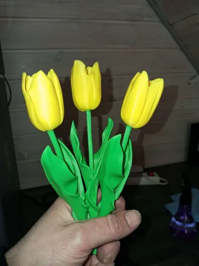 https://makerworld.bblmw.com/makerworld/comment/20260319/1790567930/21cb4932063b7c7a.jpg