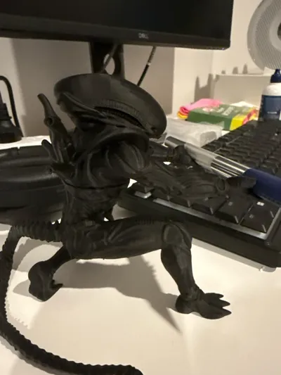 https://makerworld.bblmw.com/makerworld/comment/20260319/1927400769/e069630f3f4b396a.jpg