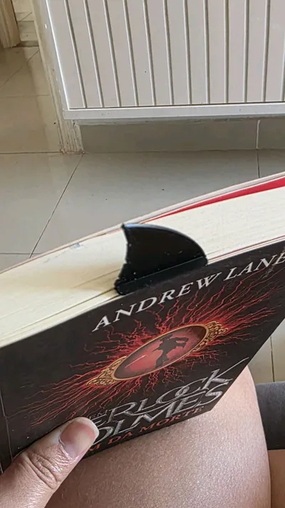 https://makerworld.bblmw.com/makerworld/comment/20260319/2011492177/ed93cb86cdde388b.jpg