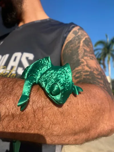 https://makerworld.bblmw.com/makerworld/comment/20260319/2052214251/ccd5b415013d9fd0.jpg