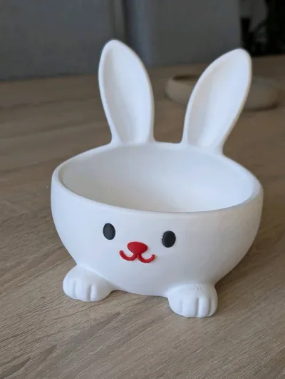 https://makerworld.bblmw.com/makerworld/comment/20260319/205898/e65052d4c0430904.jpg