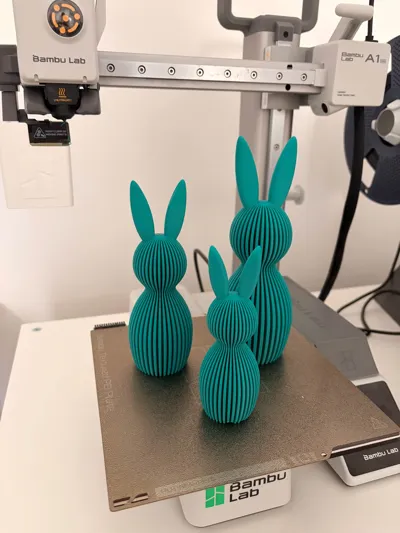 https://makerworld.bblmw.com/makerworld/comment/20260319/2485595421/4e0faf540be7933a.jpg