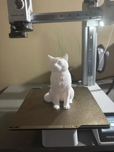 https://makerworld.bblmw.com/makerworld/comment/20260319/2717408582/d014a2eeb0c509fb.jpg