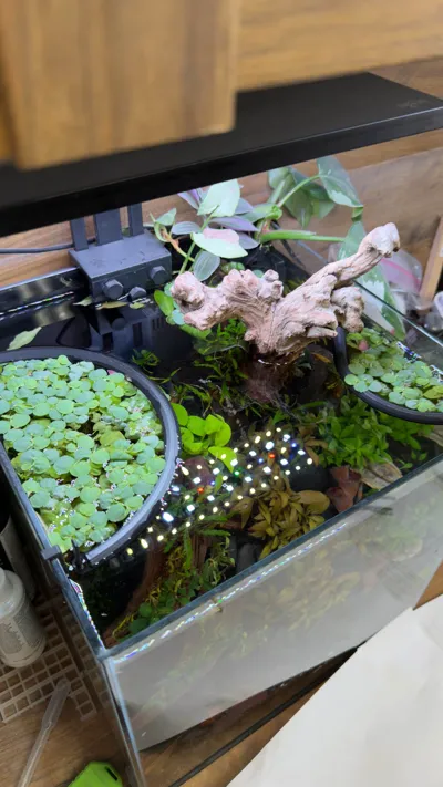 https://makerworld.bblmw.com/makerworld/comment/20260319/2858094478/1fff042716aae2e6.jpg