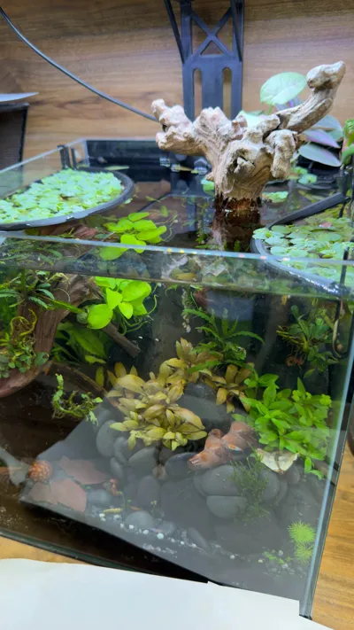 https://makerworld.bblmw.com/makerworld/comment/20260319/2858094478/d6063f6db2559fa4.jpg